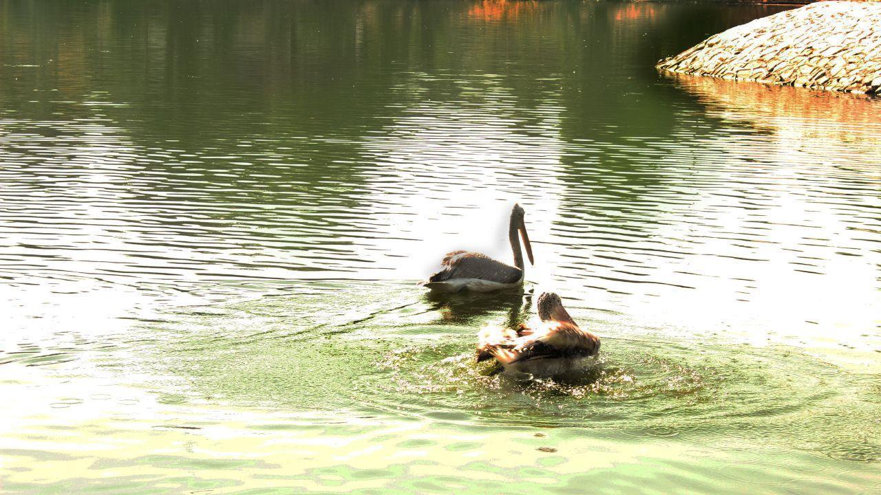 Oman Boosts Ecotourism to Protect Nature and Create Jobs