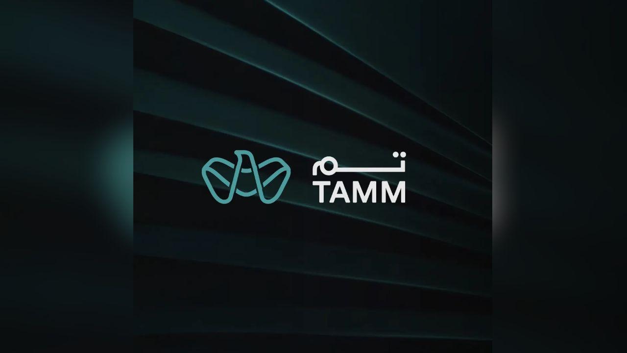 Abu Dhabi’s TAMM AI Finalist at WSIS Prizes 2025