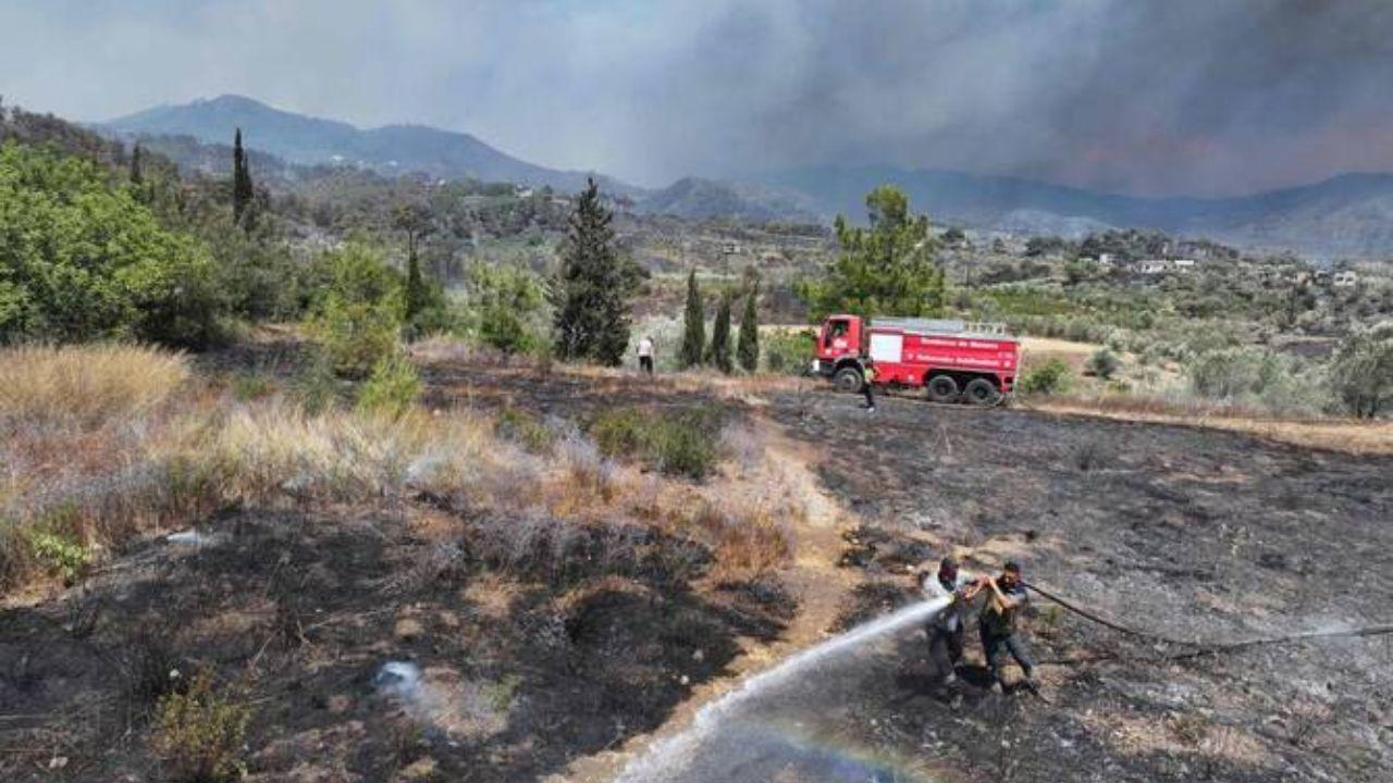 Syria Wildfires Burn for Fifth Day as Winds and War Debris Make Things Worse