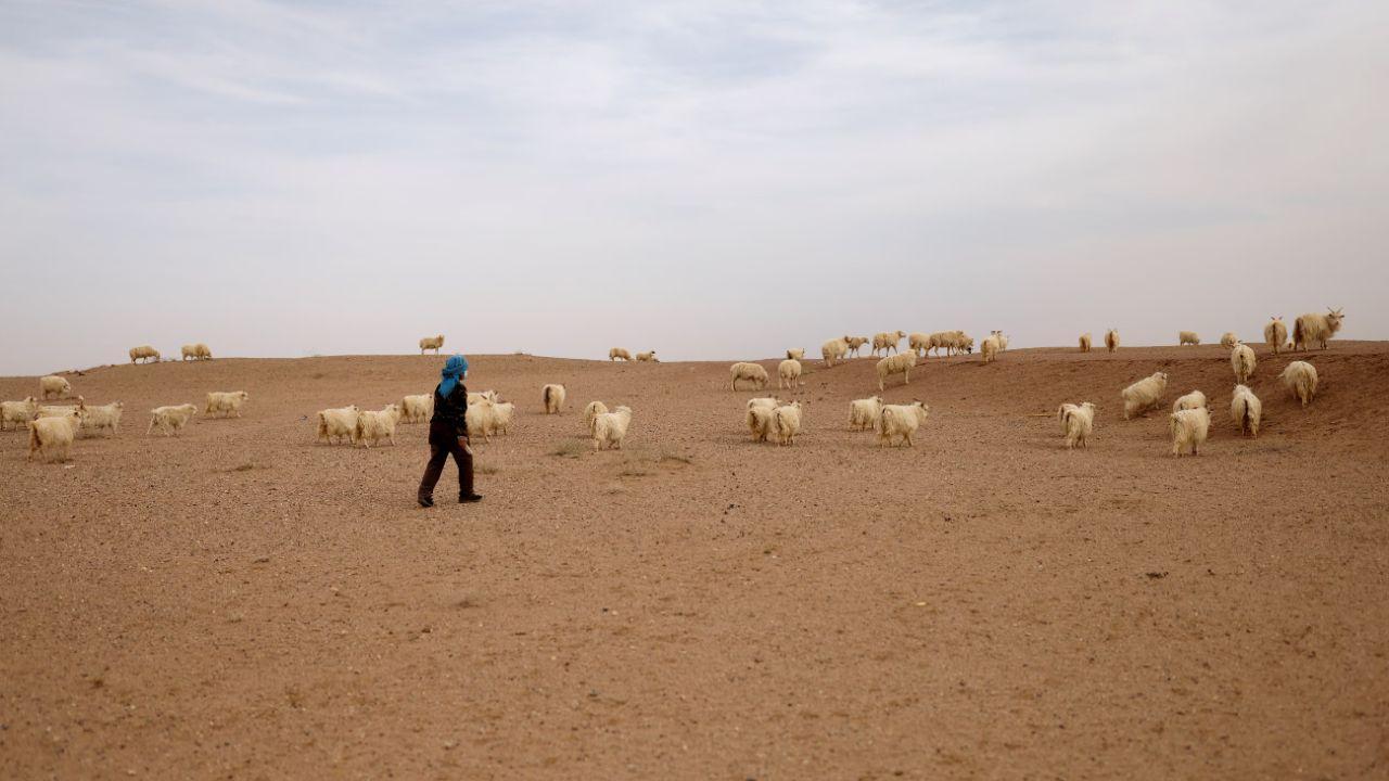 Sand and Dust Storms Affect Over 330 Million People Warns United Nations
