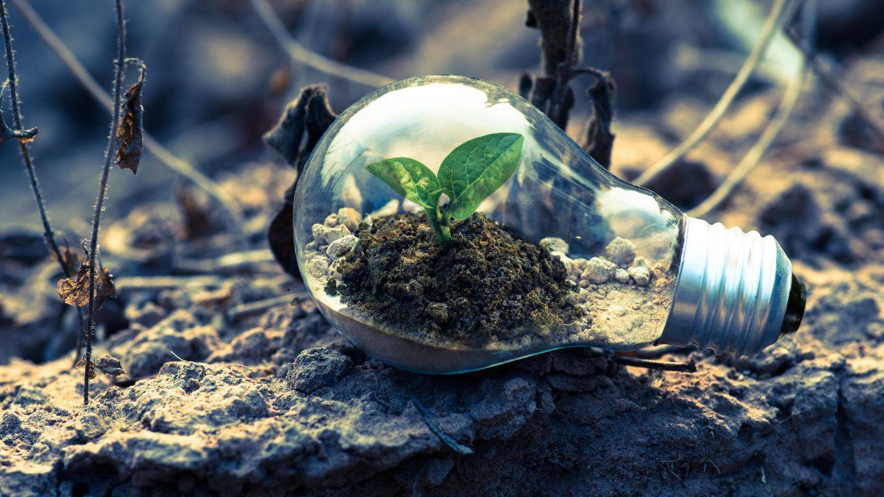 Green is the New Gold: Why Nature is Our Most Valuable Asset