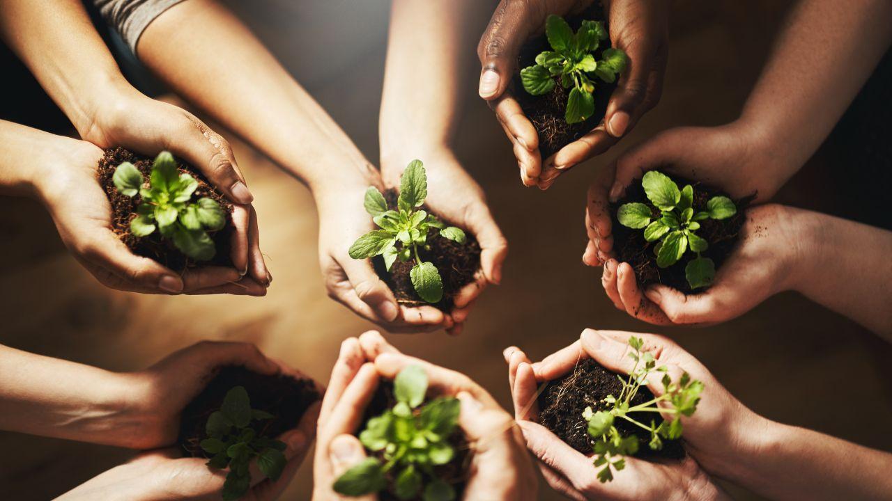Nature’s Comeback Plan: Embracing Environmental Sustainability Today