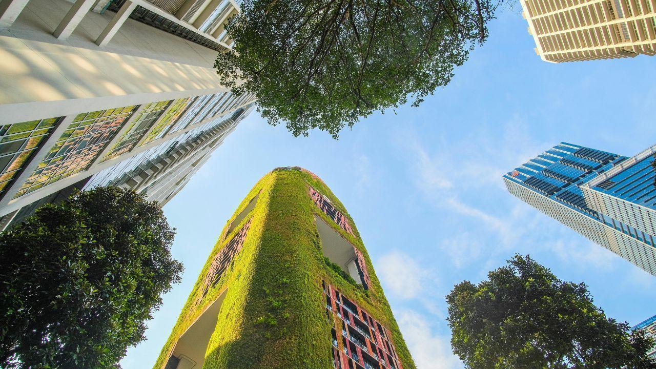 Nature’s Countdown: Can Sustainability Save Us in Time?