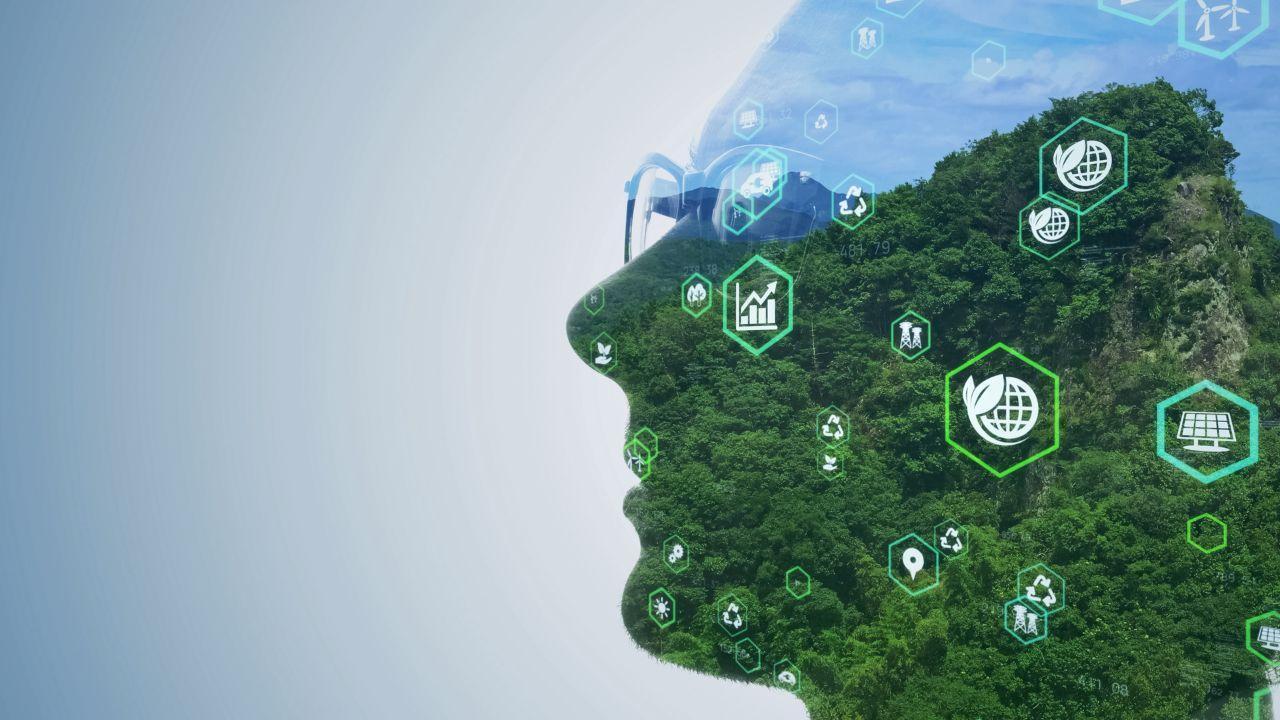 Sustainability Rising: A Global Fight to Restore Balance to Nature