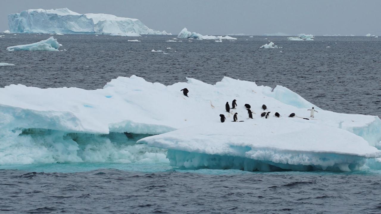 Arctic Sea Ice Drops to Lowest Level Ever What You Need to Know
