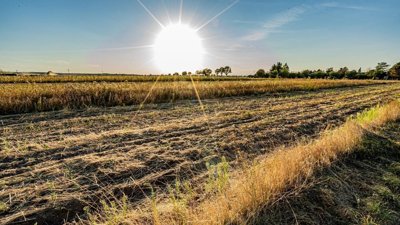 Extreme Heatwaves Are Hurting Farms Worldwide What You Need to Know