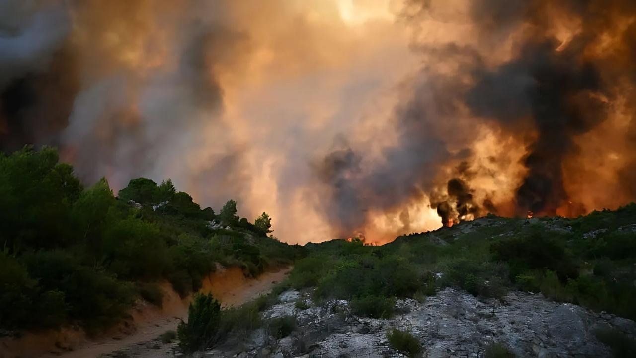 Wildfire in Southern France 1 Dead 9 Injured Thousands Evacuated