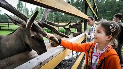 Russian Residents Brave Risks to Protect Their National Park