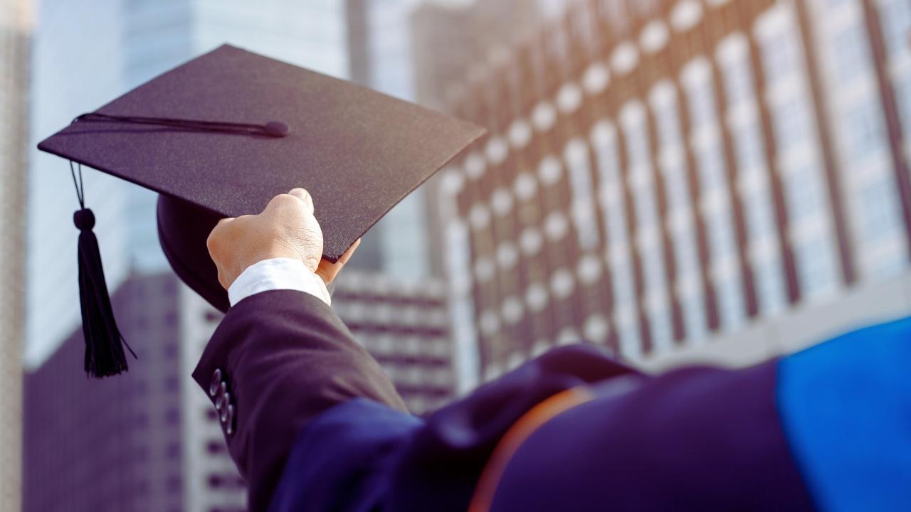 Career-Aligned Higher Education Programs: Degrees Designed for Job Market Needs