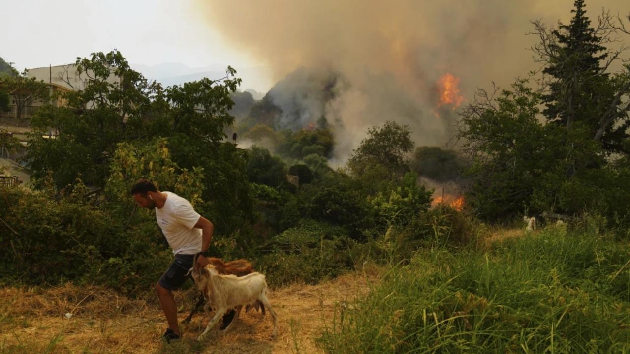 Climate Change Fuels Deadly Wildfires in Greece, Turkey & Cyprus