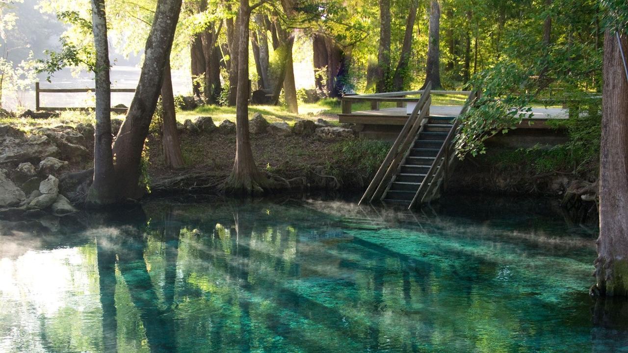 Florida Springs Face Pollution, Development, and Climate Threats