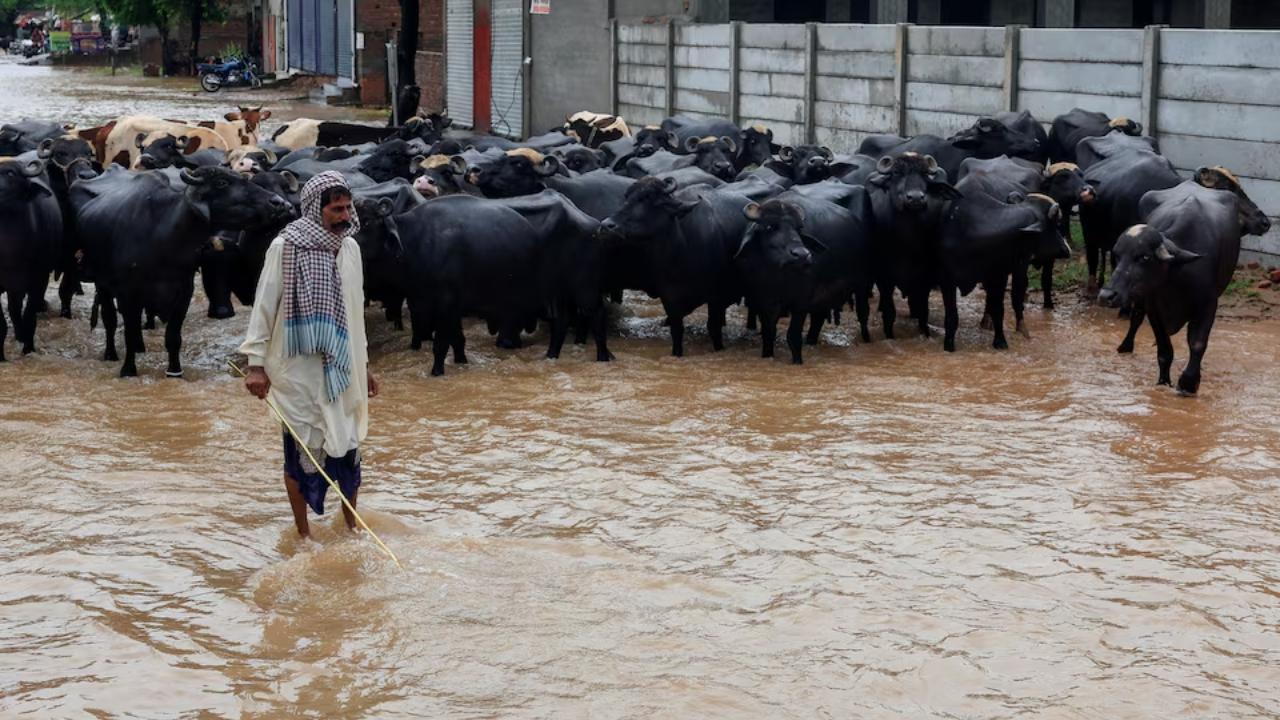Massive Floods in Punjab: Thousands of Villages and Farms Destroyed