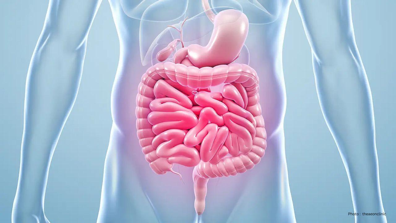 The Rising Importance of Gut Health in India's Wellness Movement