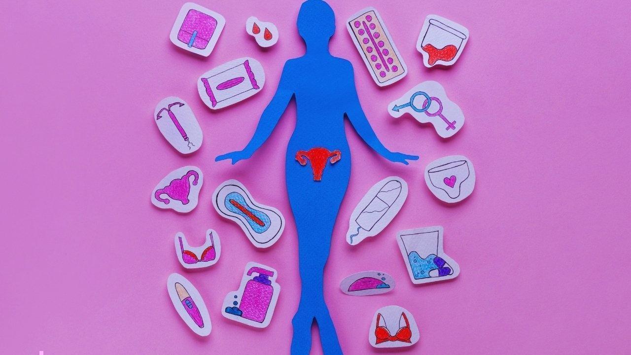 Reinventing Period and Menopause Care: A Global Shift in Women's Health