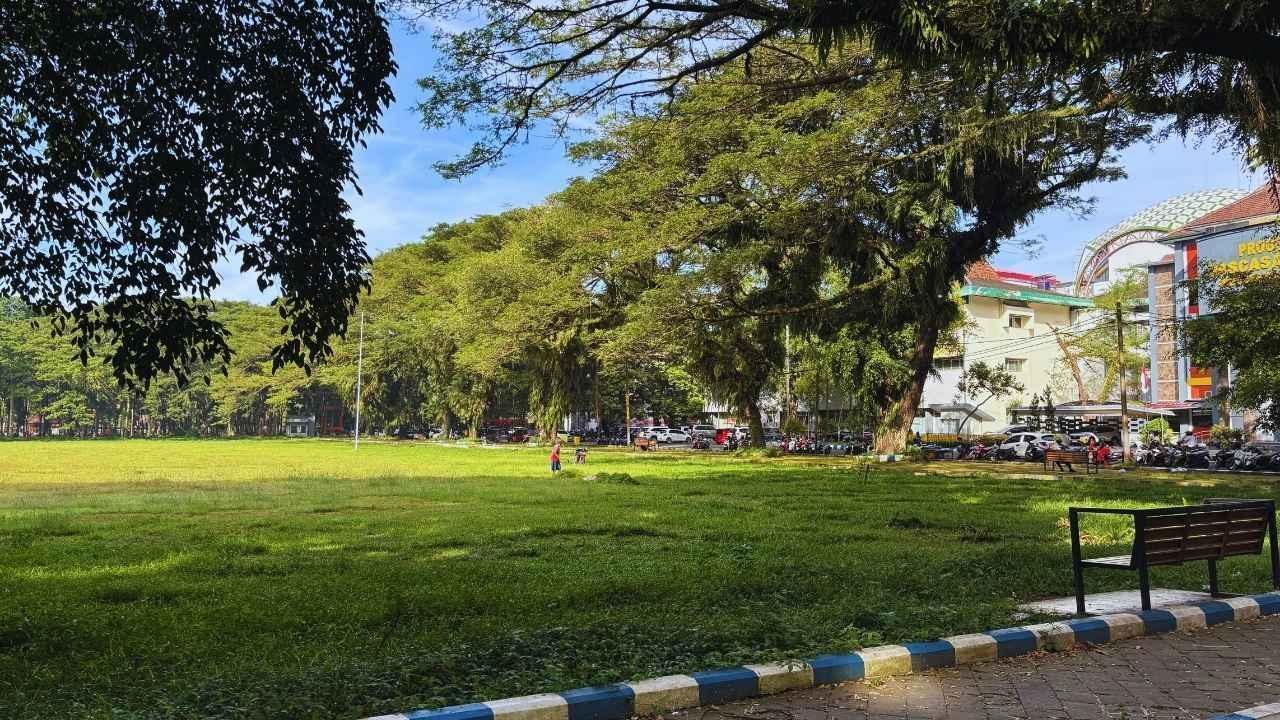 Urban Green Spaces: Why Cities Are Investing in Nature for Mental Health