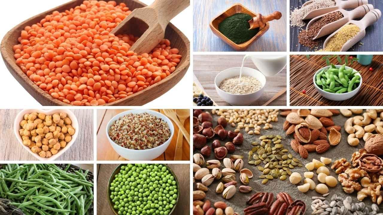 Plant-Based Protein Options Beyond Paneer and Tofu — An Analytical Guide Plant-Based Protein Options Beyond Paneer and Tofu — An Analytical Guide