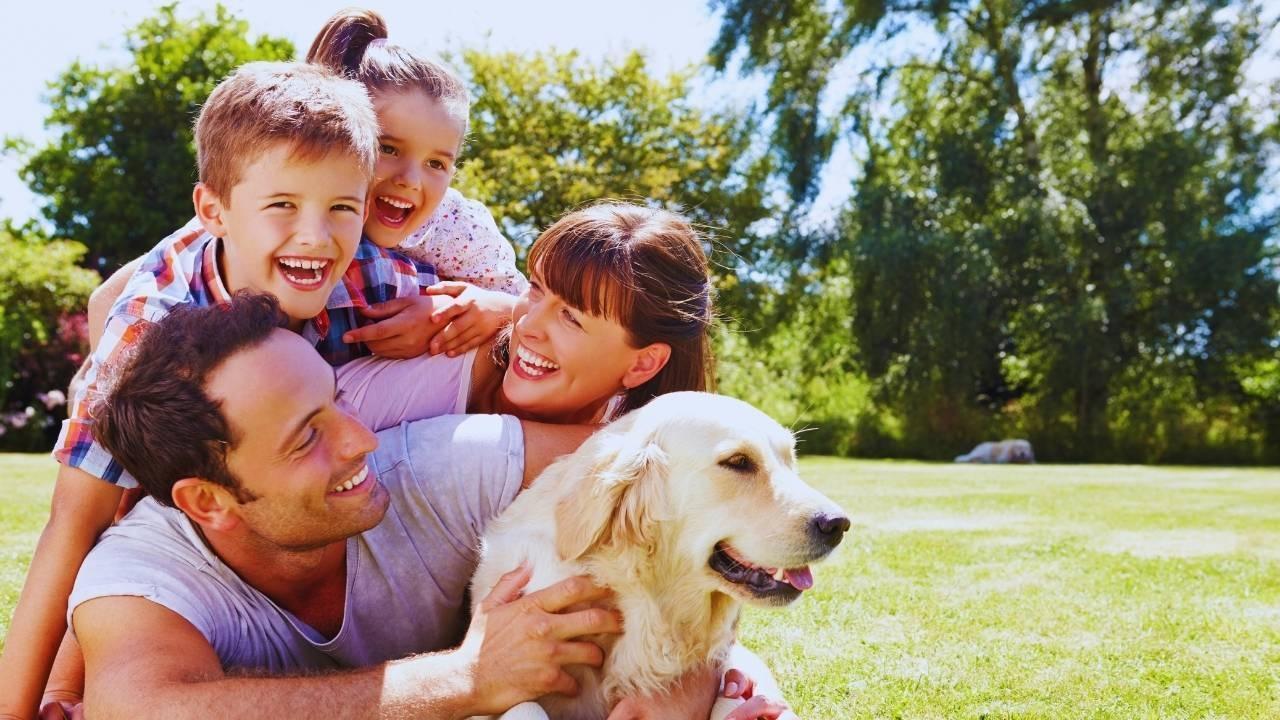 Generational Shift: How Millennials and Gen Z Are Transforming Pet Parenthood