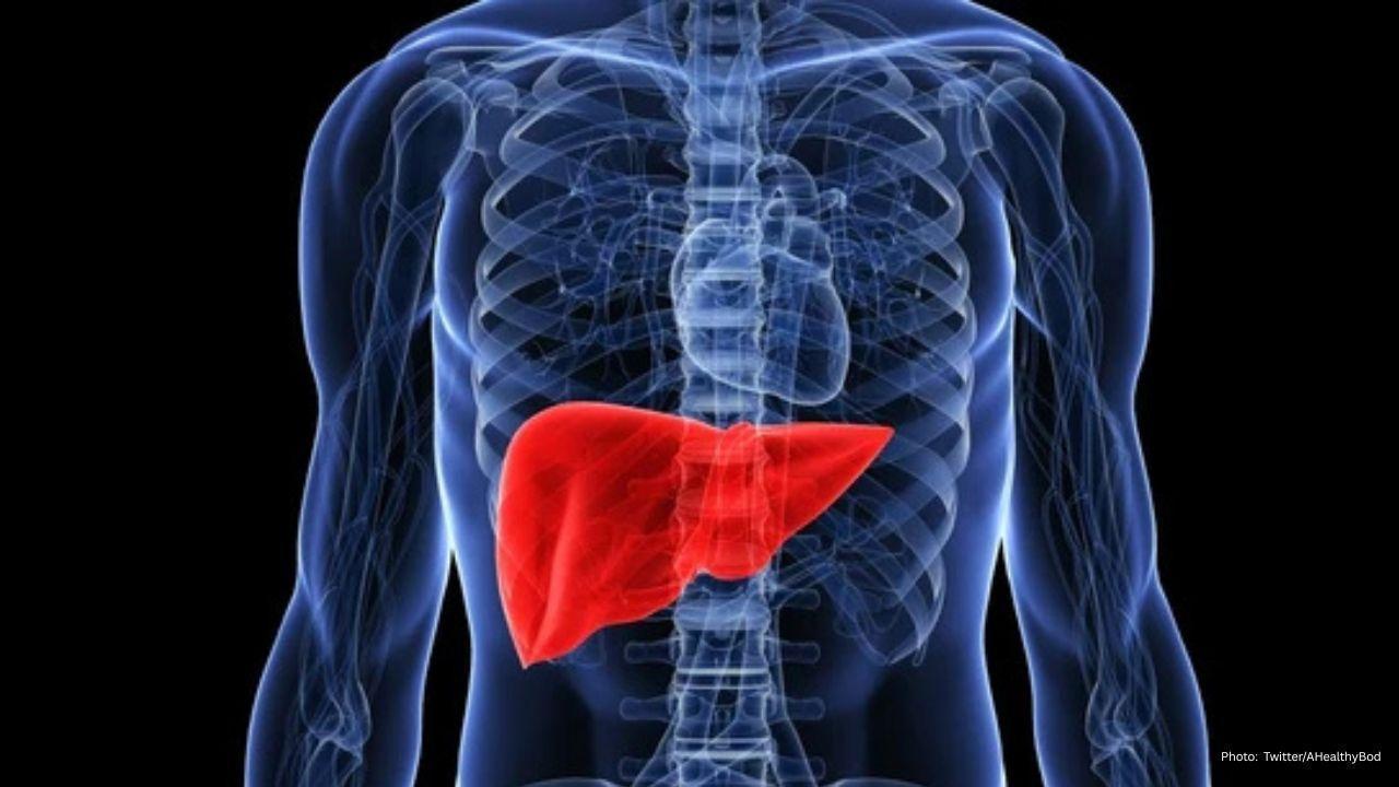 Delhi Diabetologist Identifies Physical Clues to Fatty Liver and Insulin Resistance