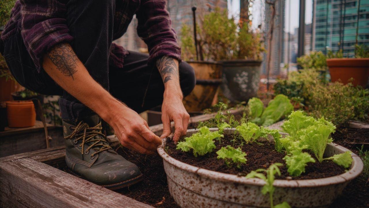 Urban Gardening Revival: Cities Convert Balconies and Roofs into Green Infrastructure