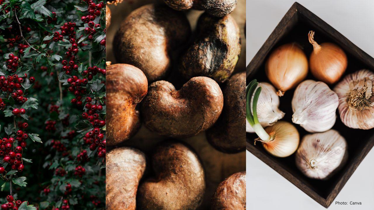 5 Foods to Naturally Heal and Safeguard Your Kidneys