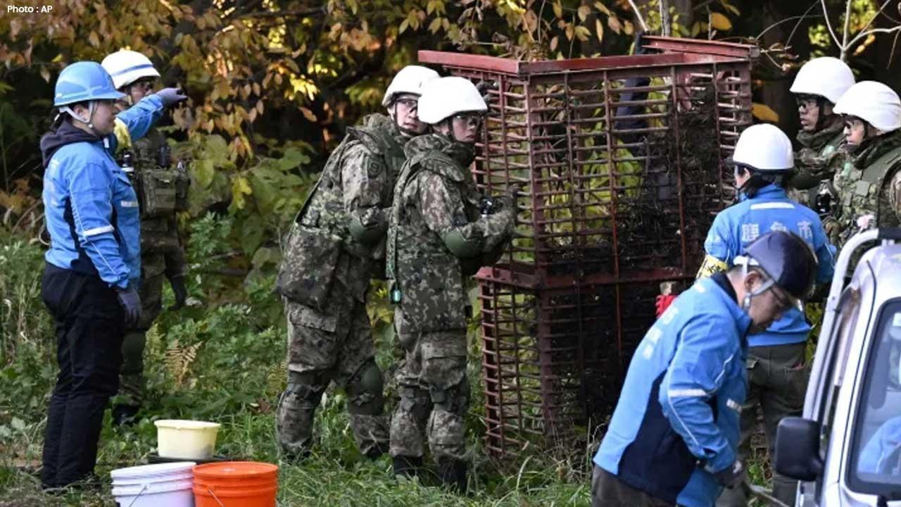 Unprecedented Surge in Bear Attacks Hits Japan in 2025