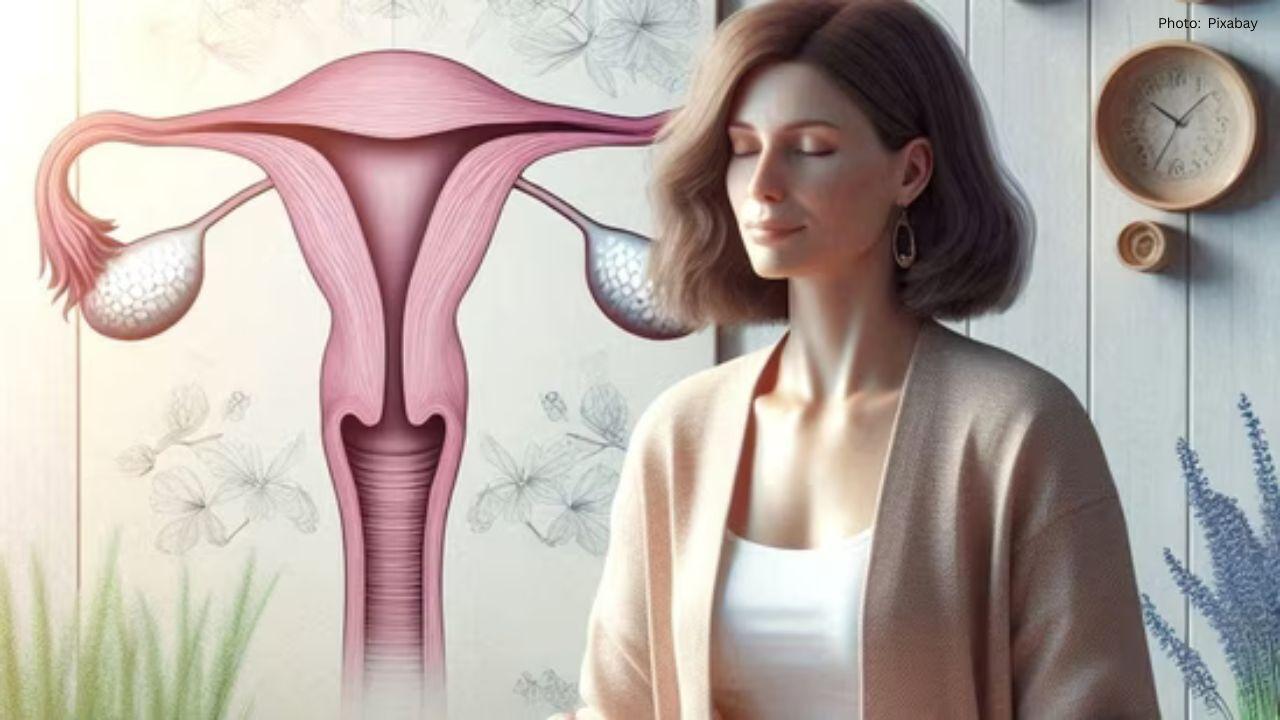 Neurosurgeon's Warning: Menopause's Impact on Brain Functionality