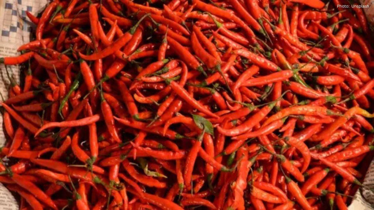 The Fascination with Spicy Food: Understanding Our Love for Chillies