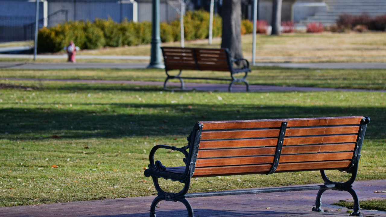 Ways to Discover Museums, Parks, and Attractions for Free