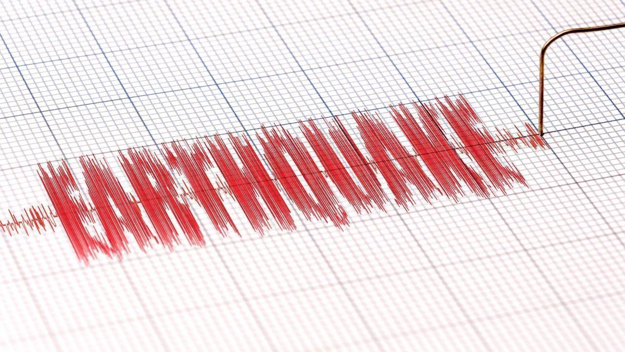 4.5 Magnitude Earthquake Detected Near Tual, Maluku