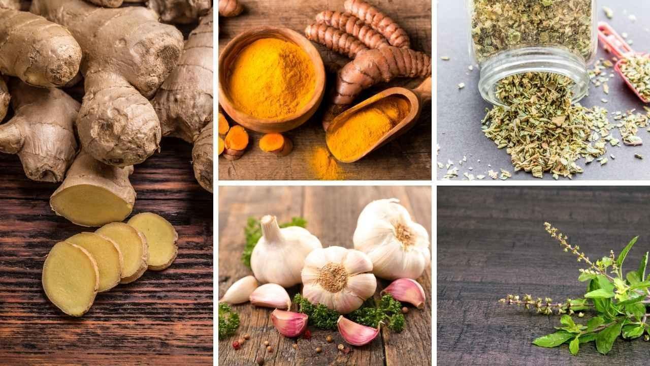 Essential Kitchen Herbs That May Aid in Slowing Cancer Cell Development