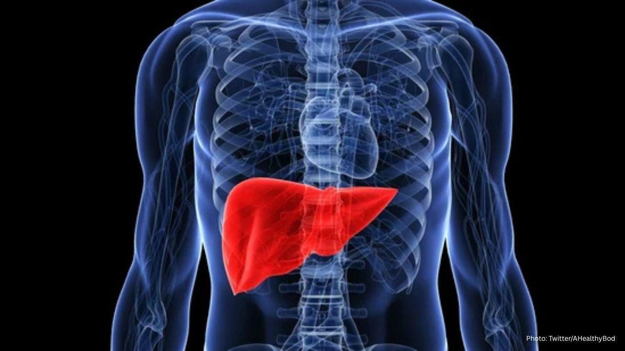 Expert Warns: Common Daily Habits That Negatively Impact Liver Health