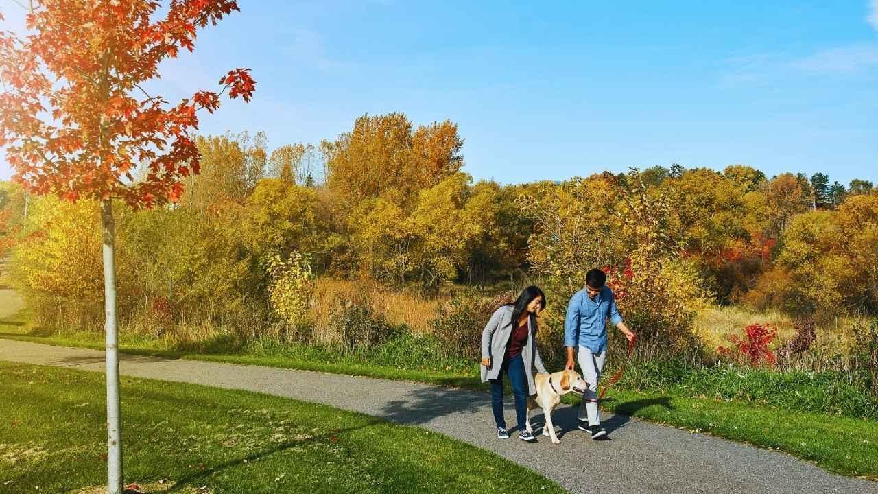 The Rising Importance of Daily Walks for Mental Health in 2025