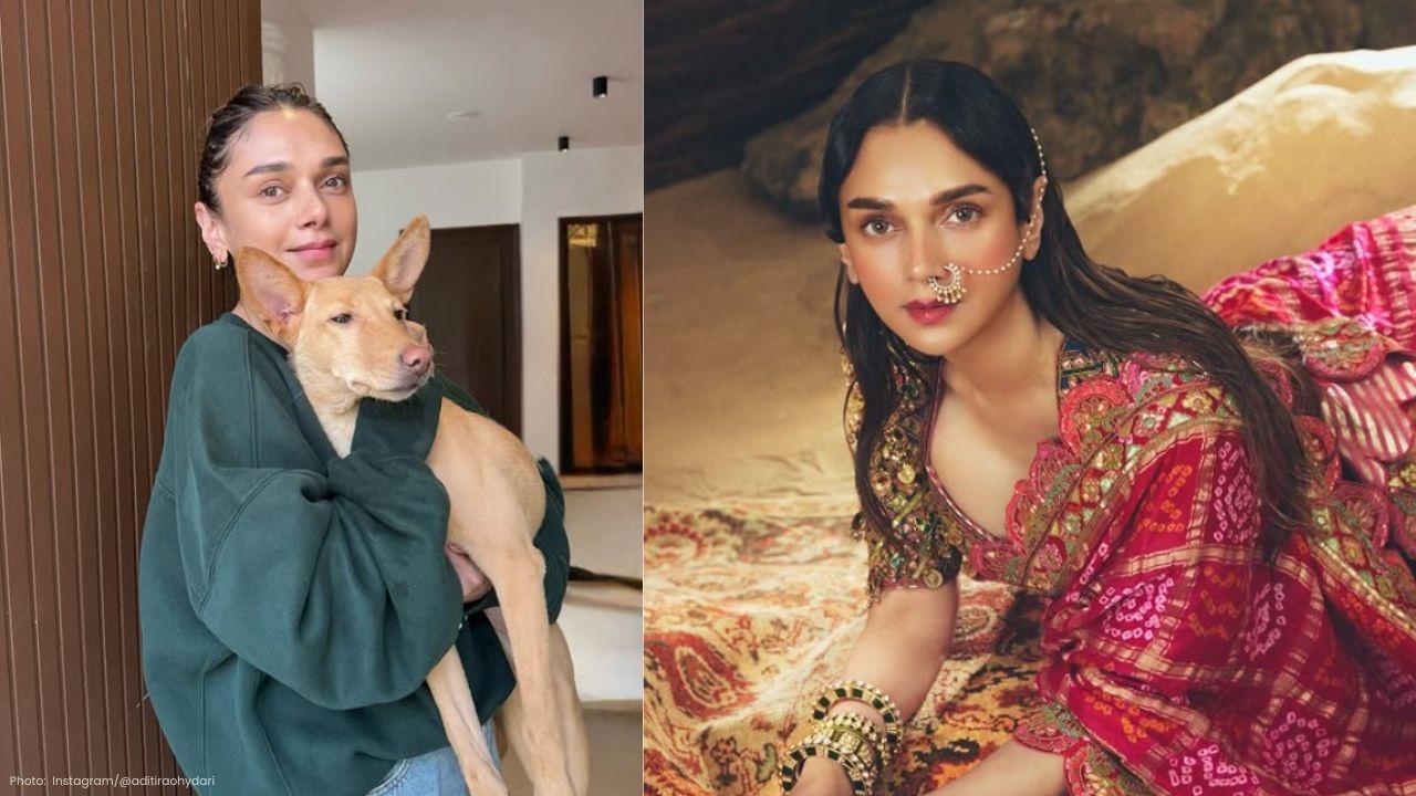 Aditi Rao Hydari Cautions Fans About WhatsApp Impersonator