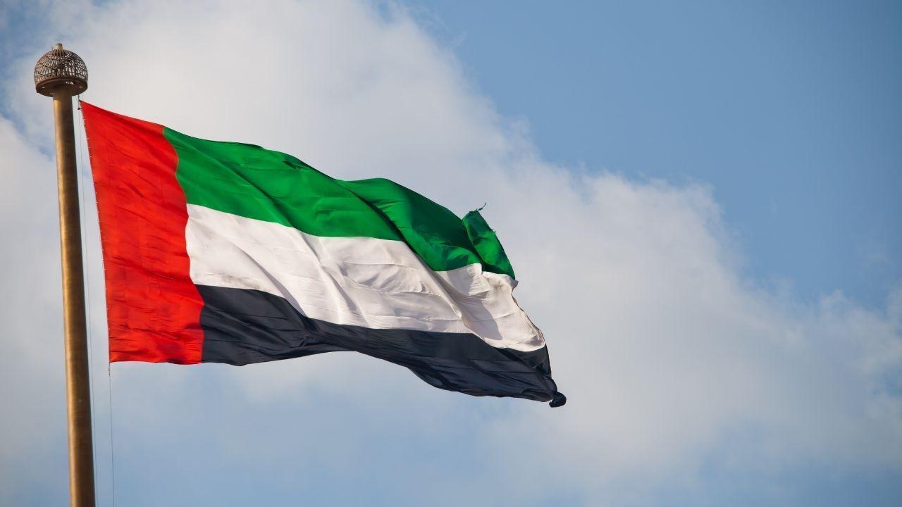 UAE Pursues Re-election to IMO Council, Enhancing Maritime Influence