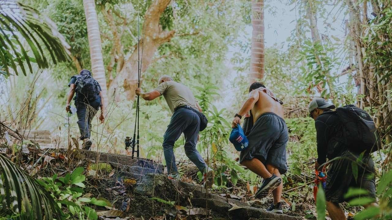 Urban Wildlife Alerts This Week: Essential Insights for Off-Trail Hikers