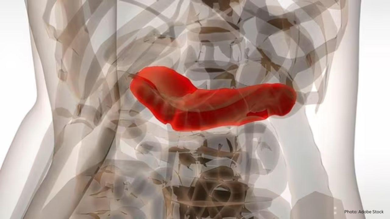 5 Crucial Early Symptoms of Pancreatic Issues to Recognize