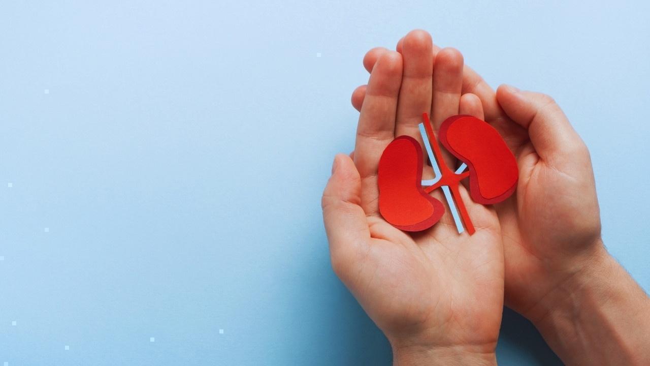 A New Dawn for ADPKD Patients: Breakthrough Antibody Research Sparks Hope