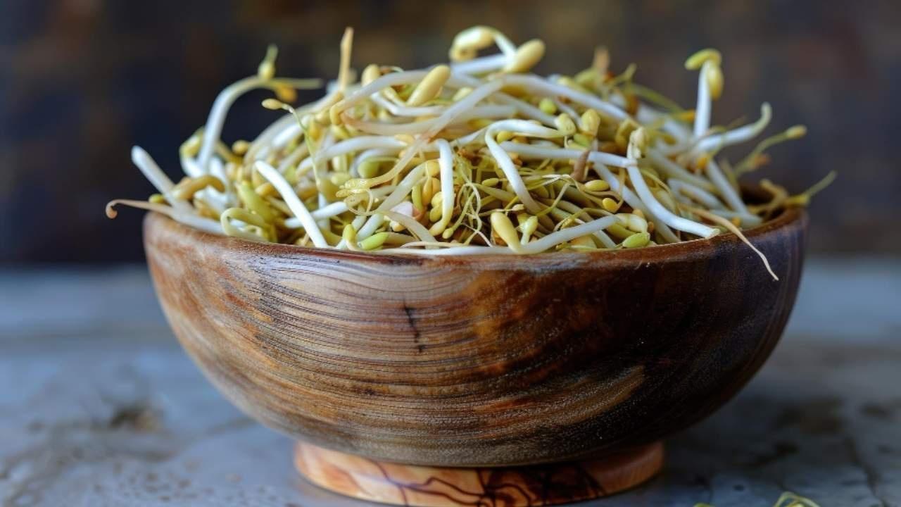 Optimal Ways to Consume Sprouts for Enhanced Protein Absorption