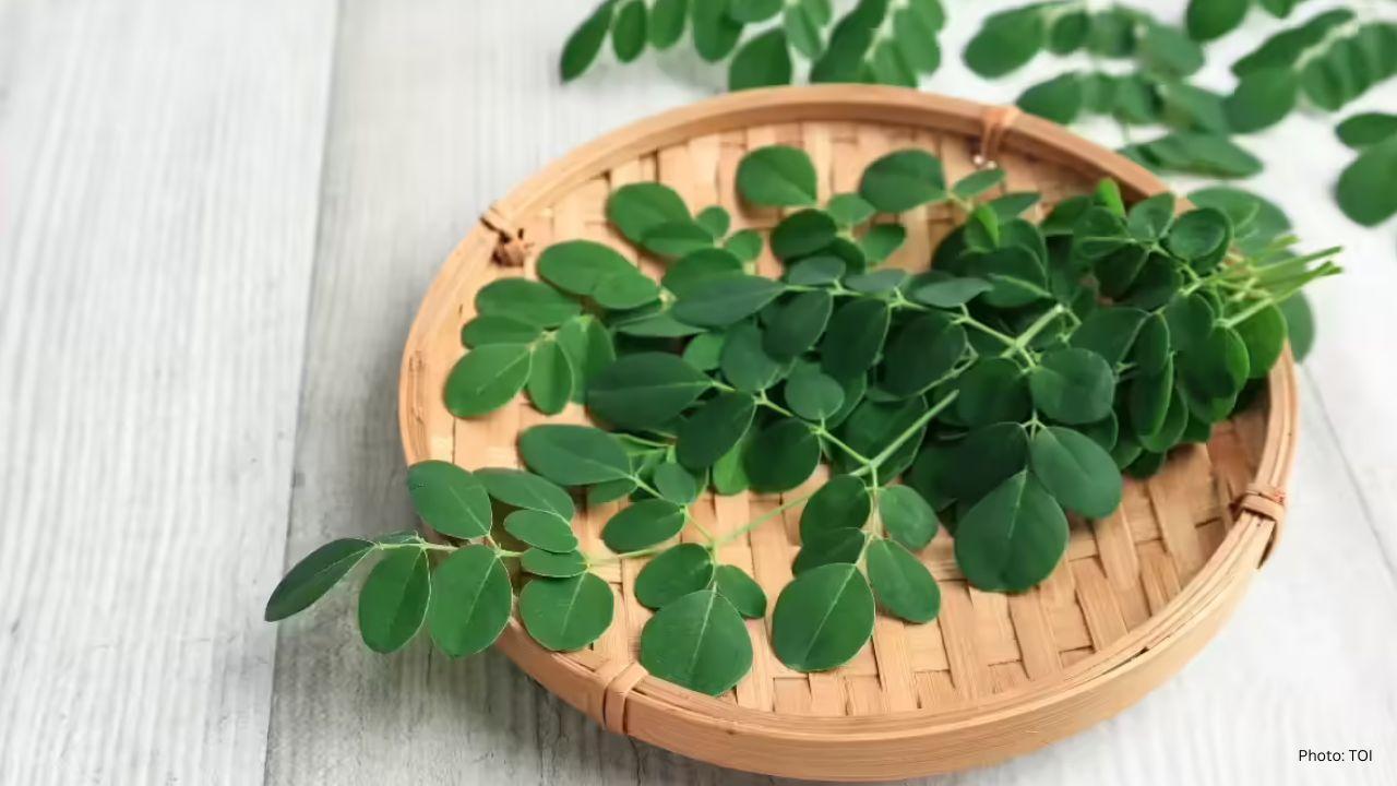 Enhancing Winter Brain Function with Moringa: A Natural Approach
