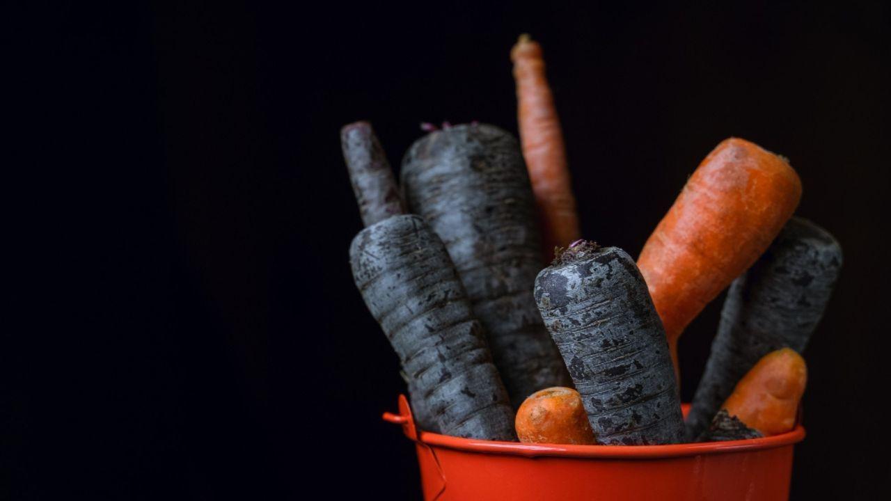 The Winter Importance of Black Carrots: A Comparison with Red