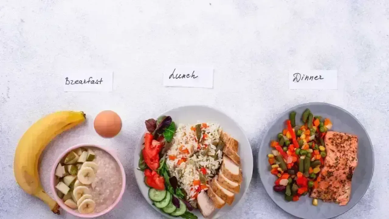 Determining the Ideal Number of Meals for Optimal Health