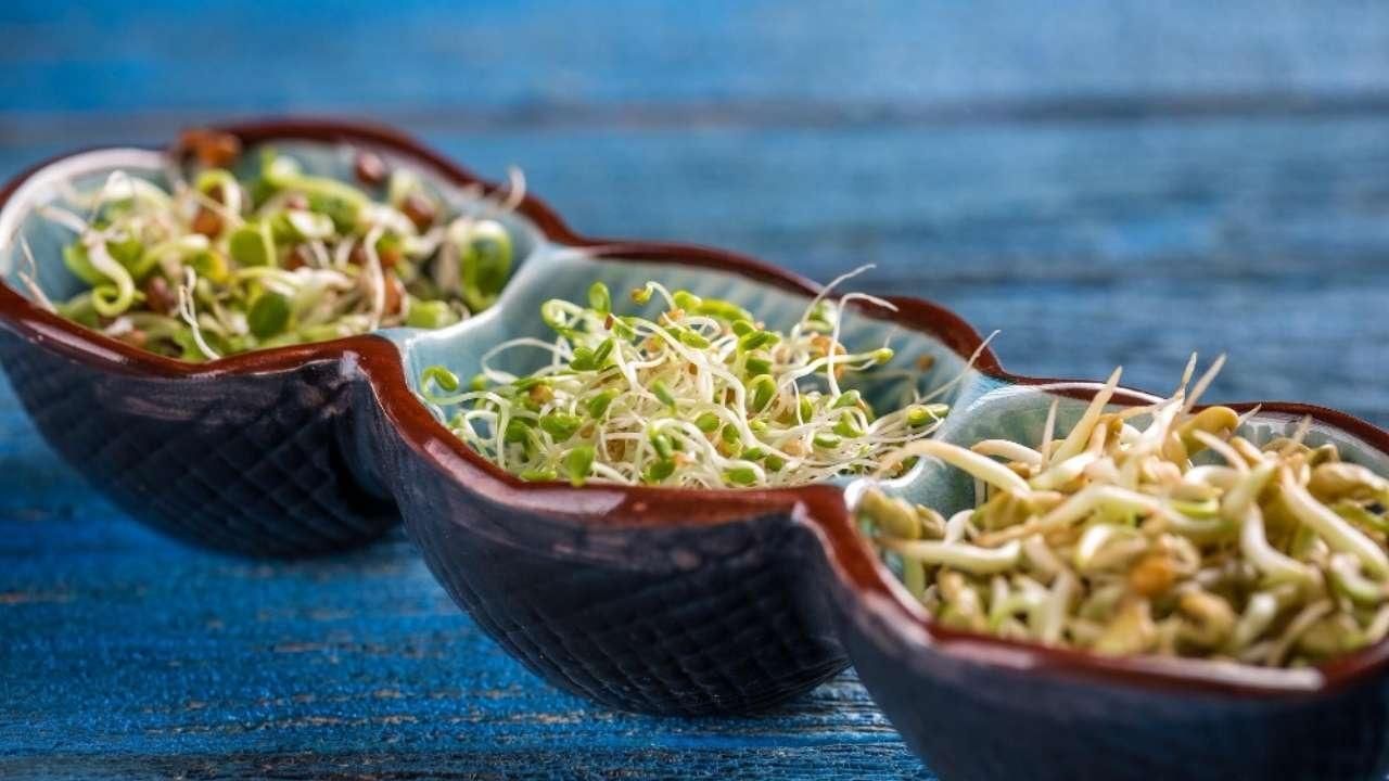 Unlocking Weight Loss Potential with Nutrient-Dense Sprouts