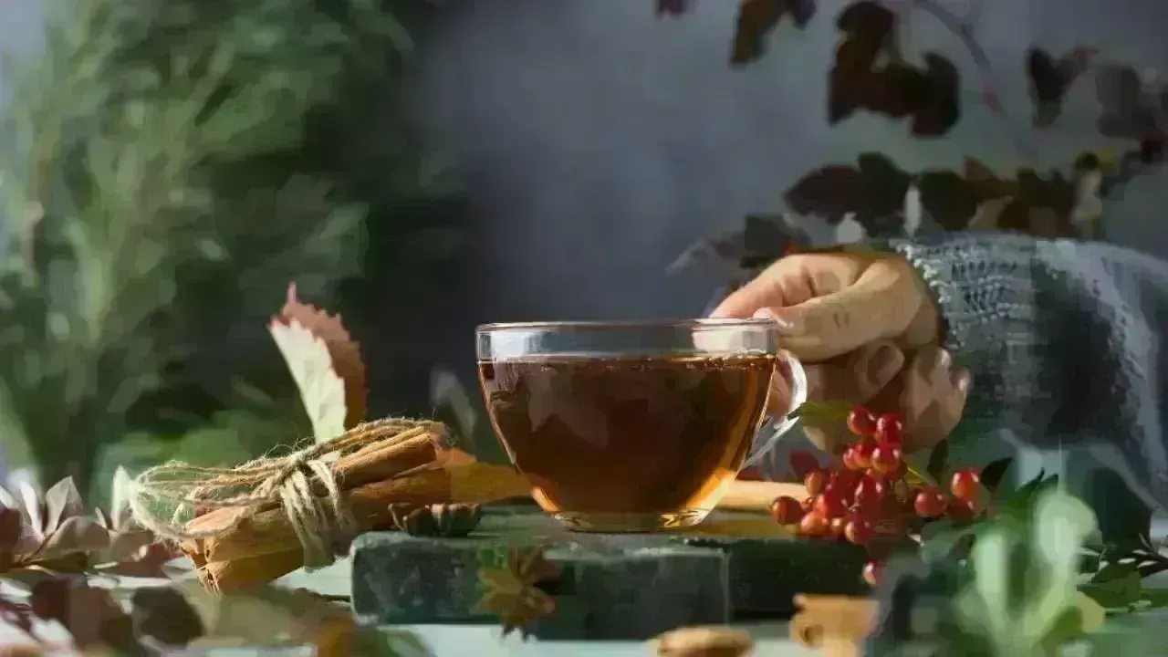 Embrace Winter Wellness: The Power of Ayurvedic Kadha