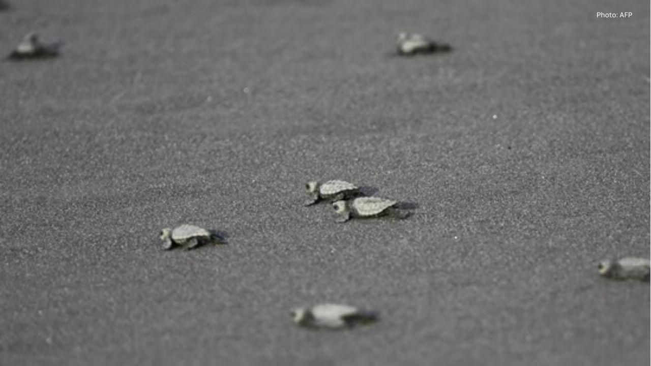 5 coastal sanctuaries nature lovers must visit in 2025