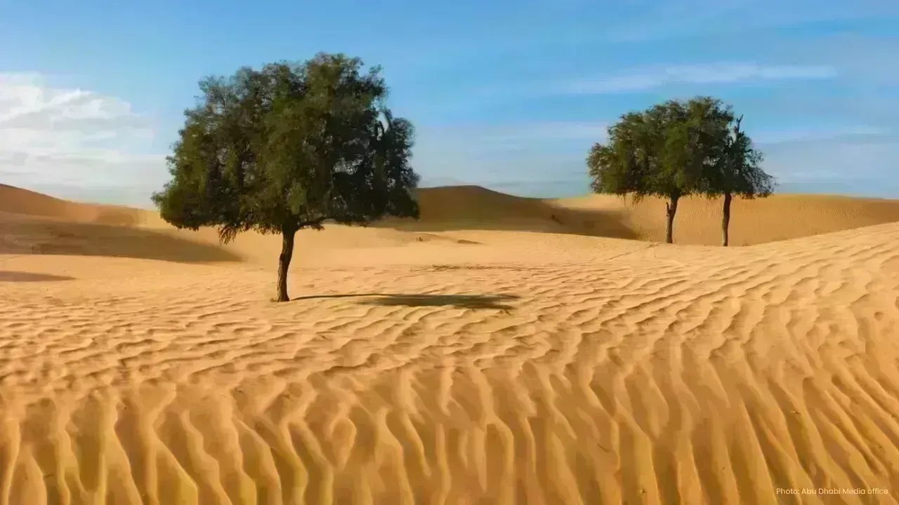 Revolutionary Genomics Research on UAE’s Ghaf Tree