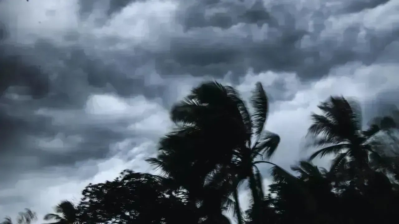 Cyclone Ditwah Approaches: Essential Actions for Coastal Residents in the Next 48 Hours