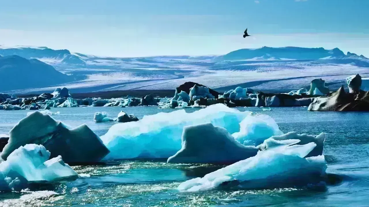 The Surge in Arctic and Polar Tourism: Discovering the “Edge of the World”