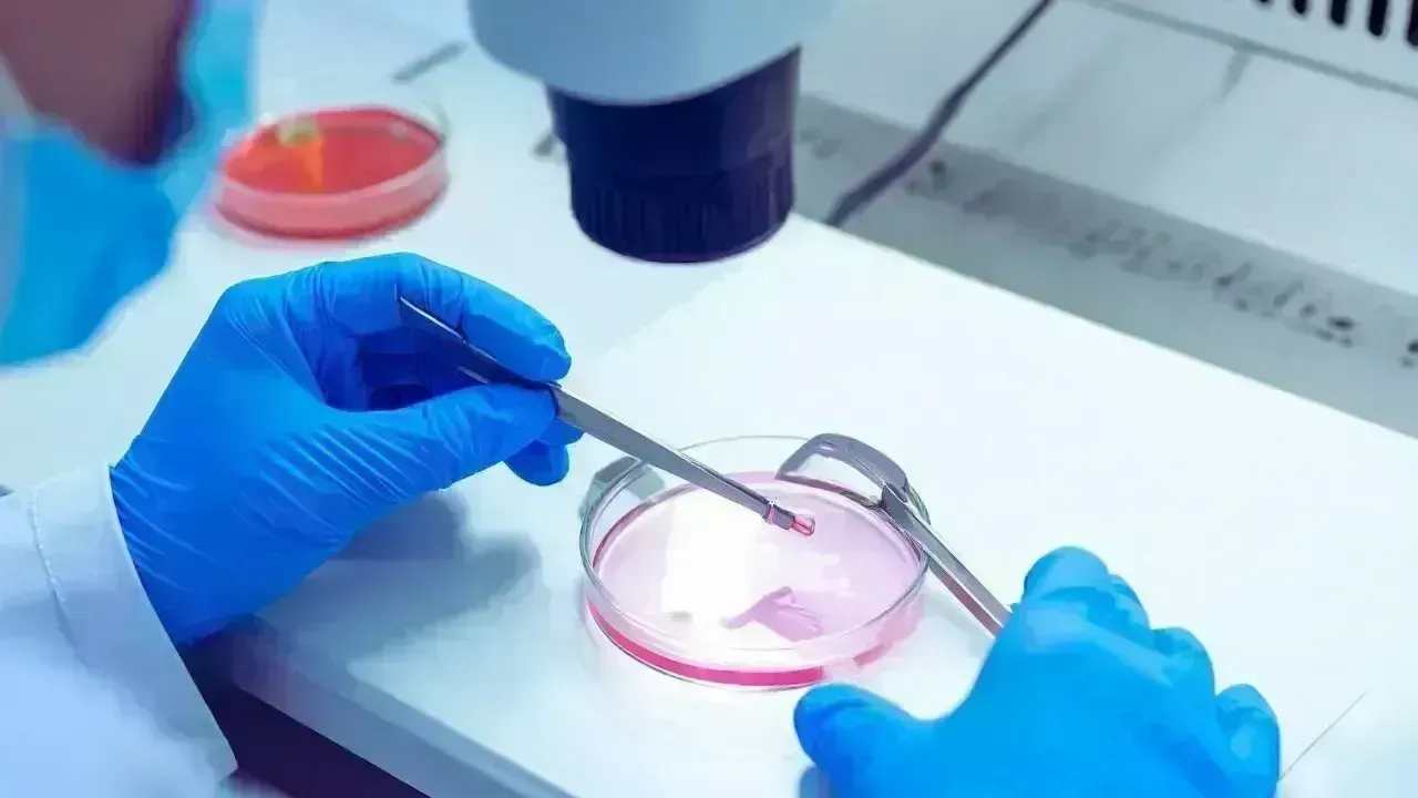 Revolutionary Advances in Biotechnology: Health and Agriculture in 2025