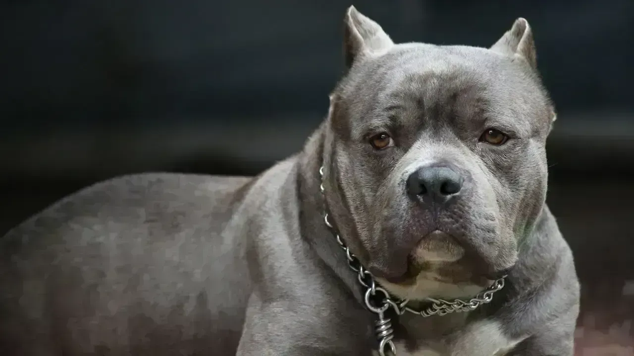 Tragic Dog Attack Claims Lives of Grandfather and Baby in Tennessee