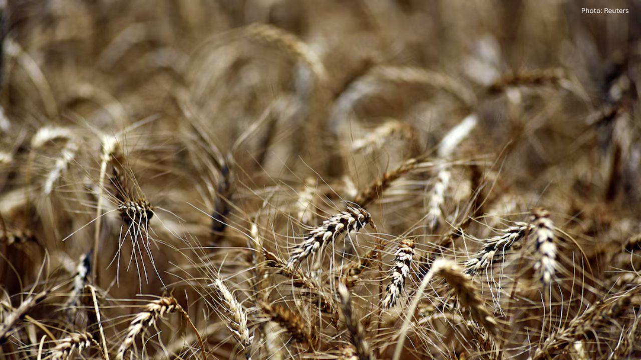 Trump Plans $12 Billion Farm Aid as US Farmers Struggle With Low Prices